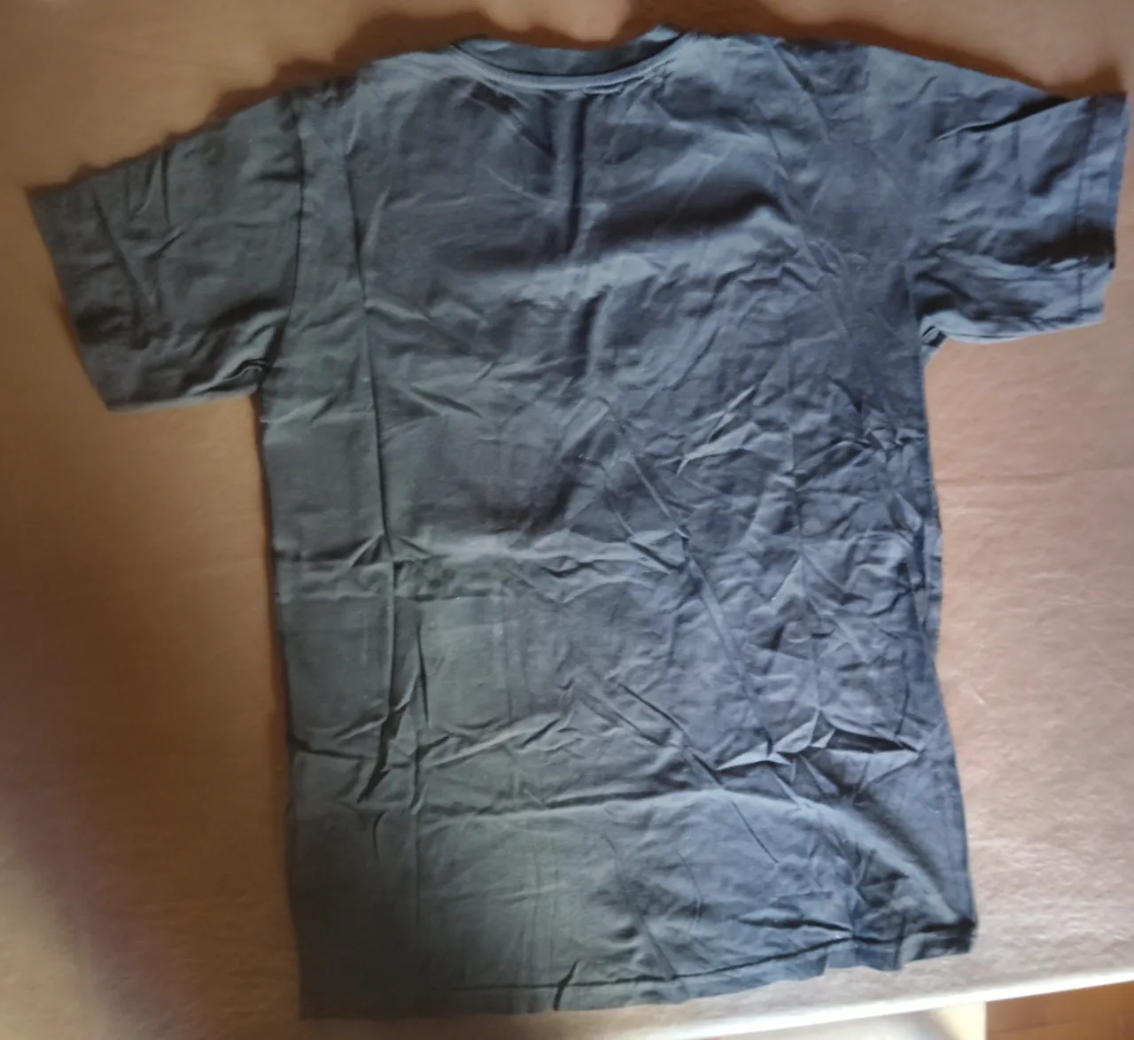Remera Indiana - imagen 4