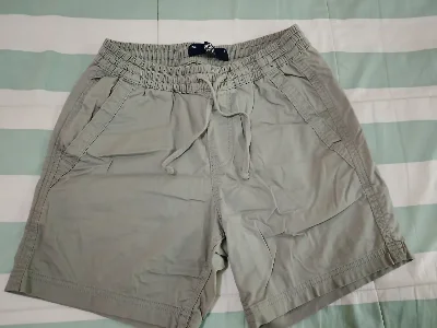 Hollister
