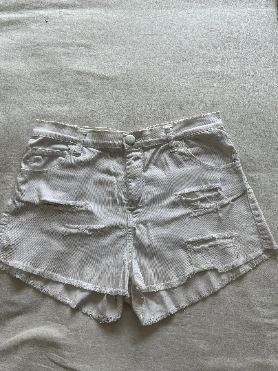 Short CHER. - imagen 1