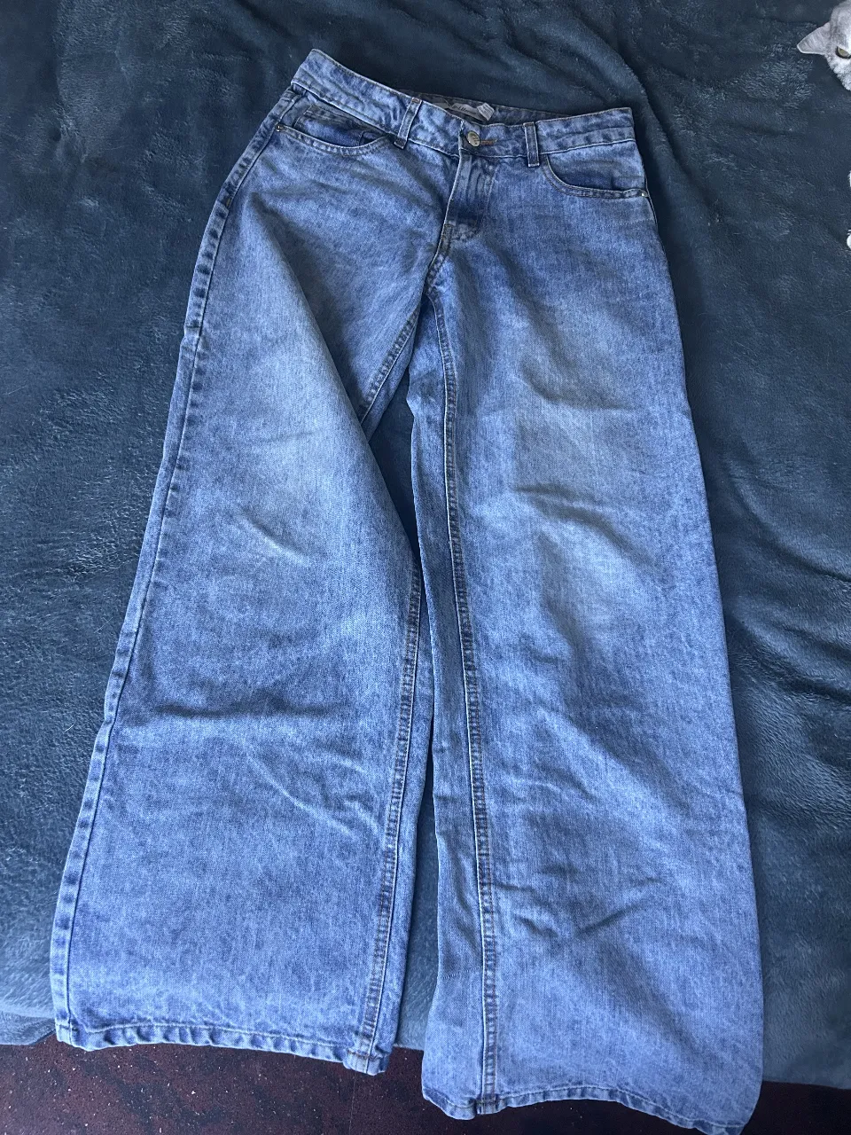 Jean Blue denim - imagen 1