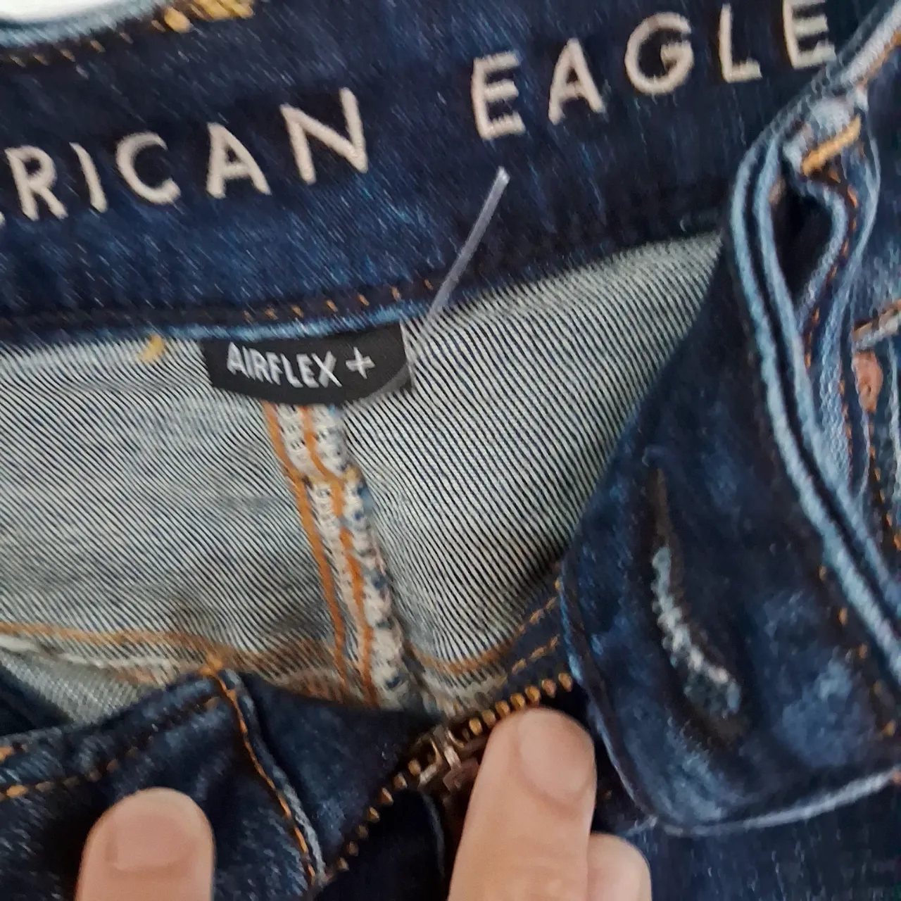 Bermuda American Eagle - imagen 3