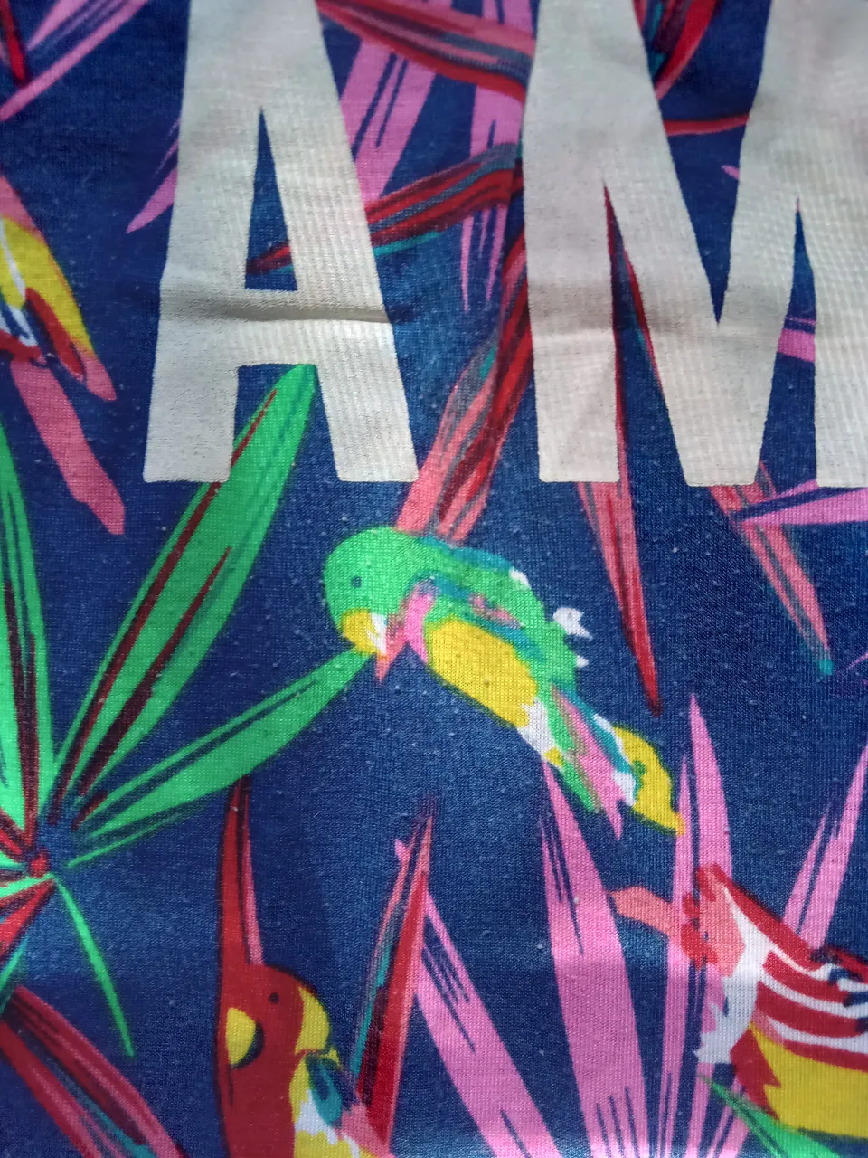 Remera Vintage - imagen 4