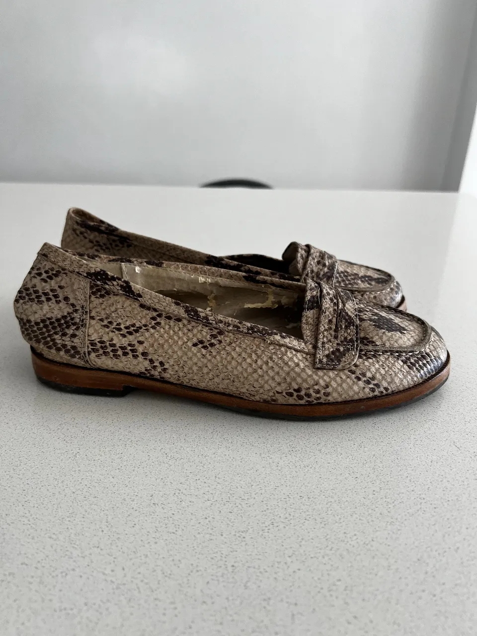 Zapatos Febo - imagen 3