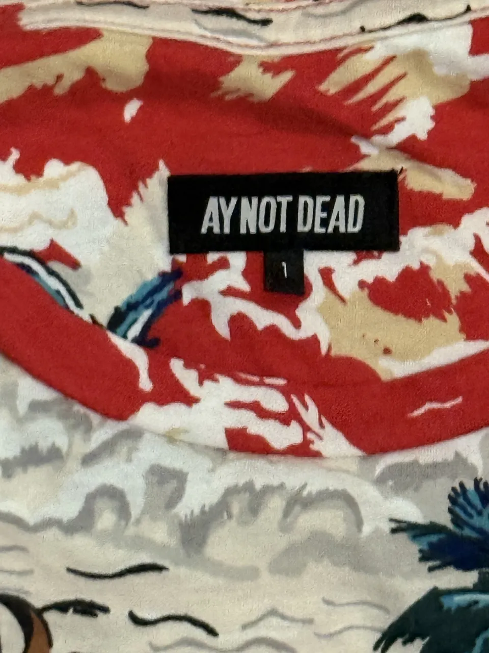 Remera Ay Not Dead - imagen 2