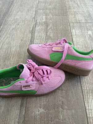 Puma