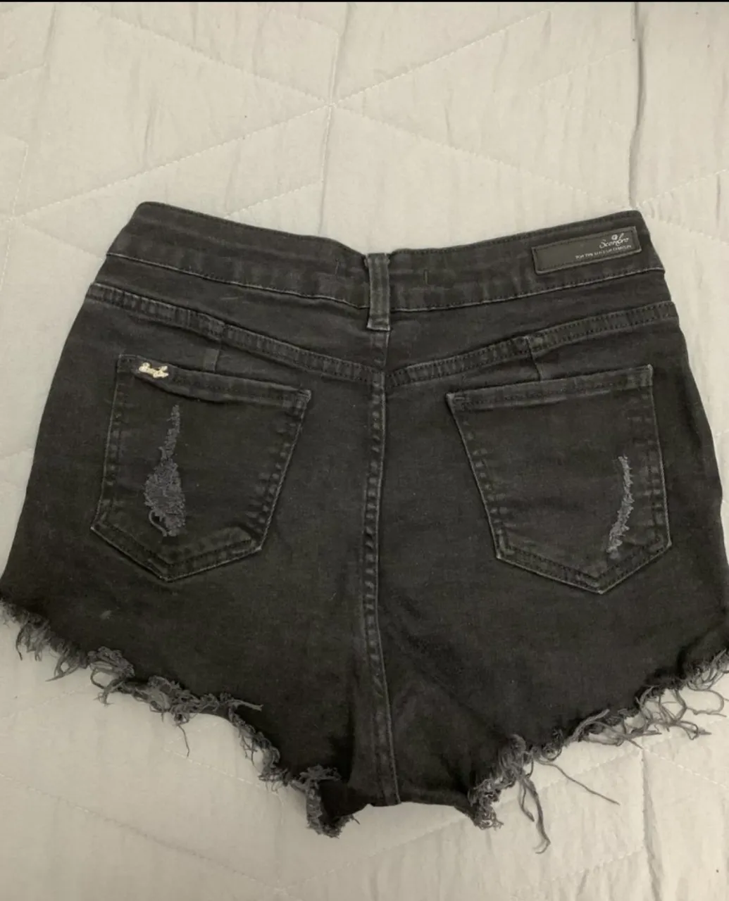 Short Scombro - imagen 2