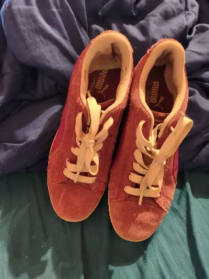 Puma