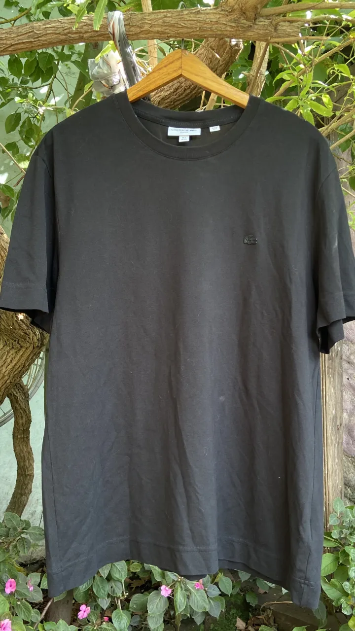 Remera Lacoste - imagen 2