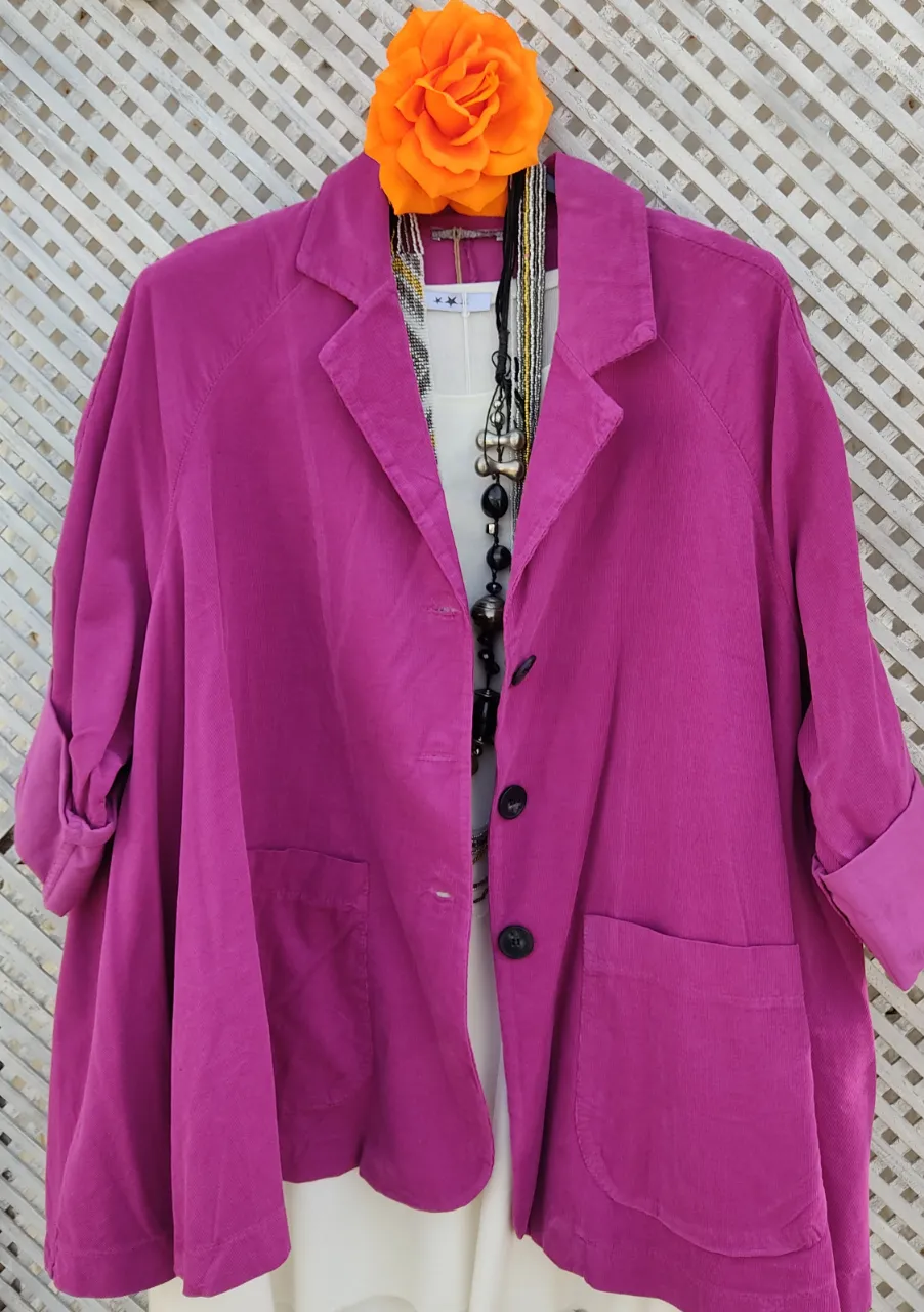 Blazer Importado - imagen 2