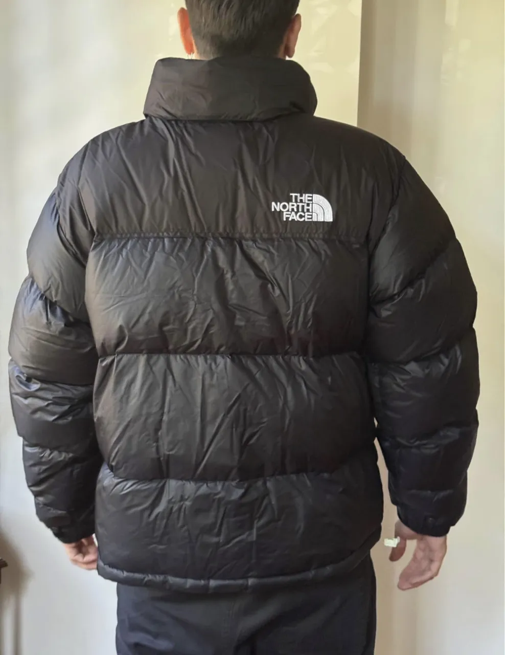 Campera The North Face - Vista 3