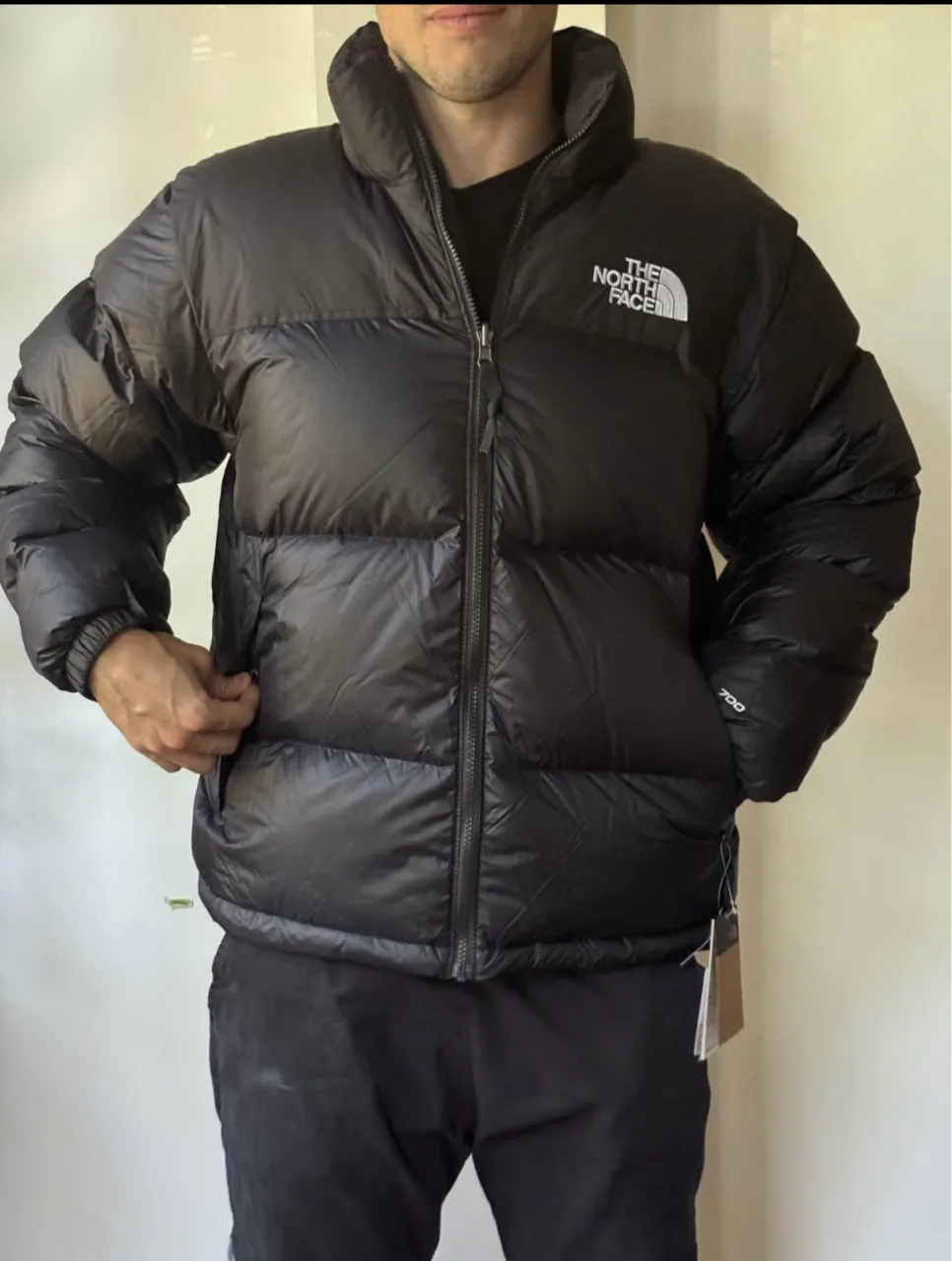 Campera The North Face - Vista 2