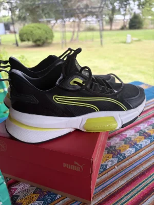 Puma