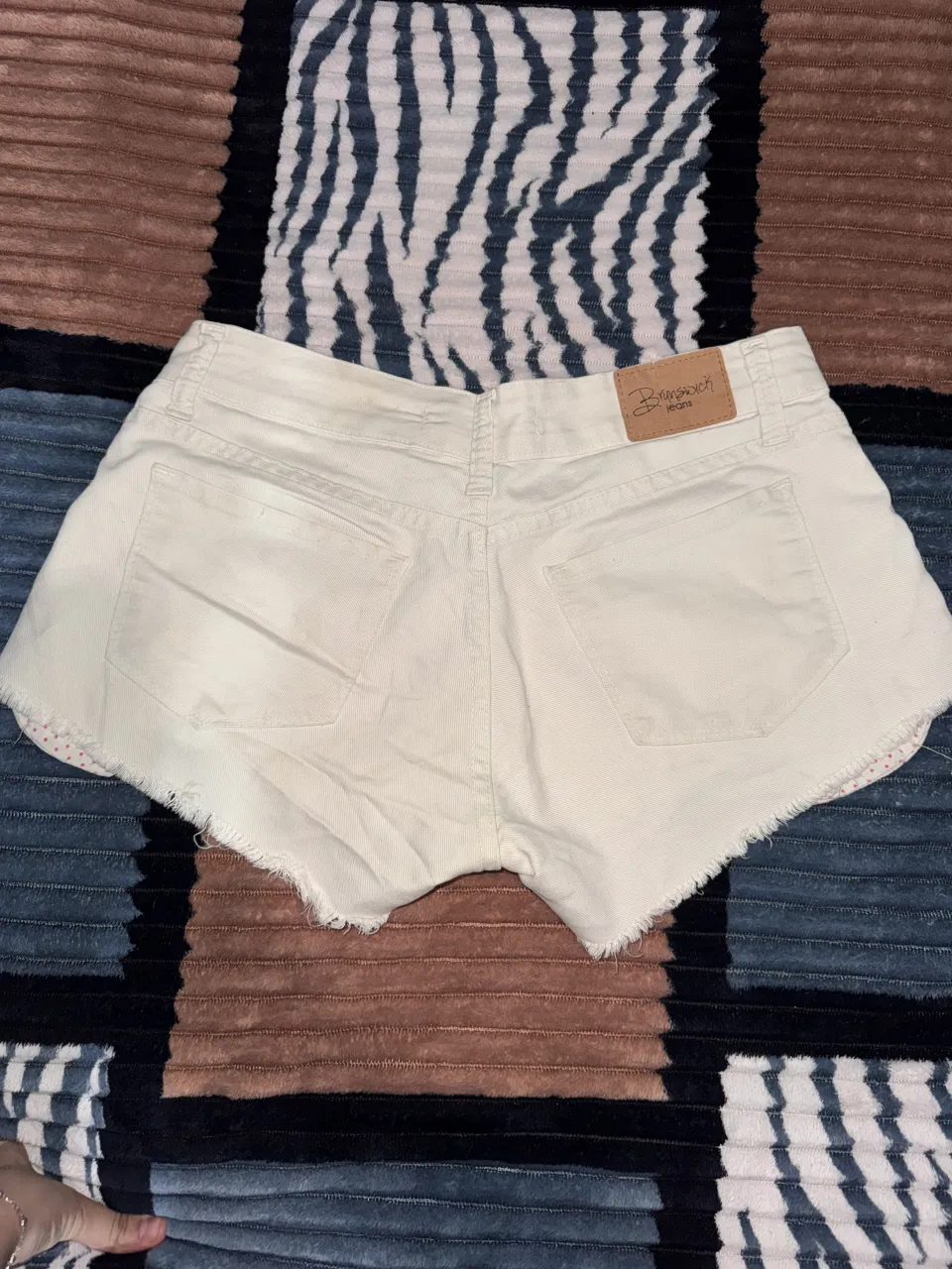 Short Brunswick - imagen 5