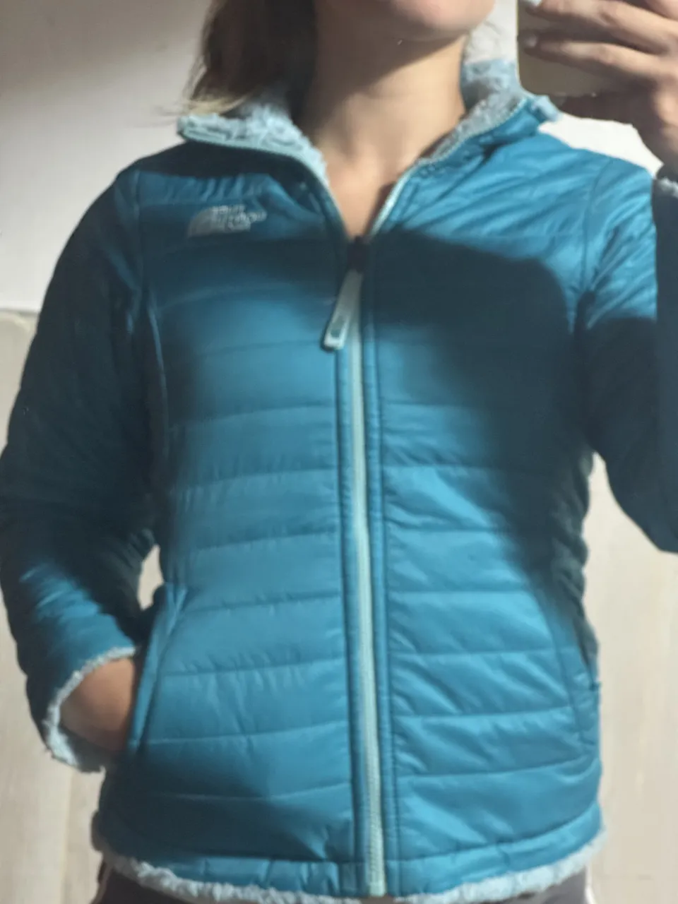 Campera The North Face