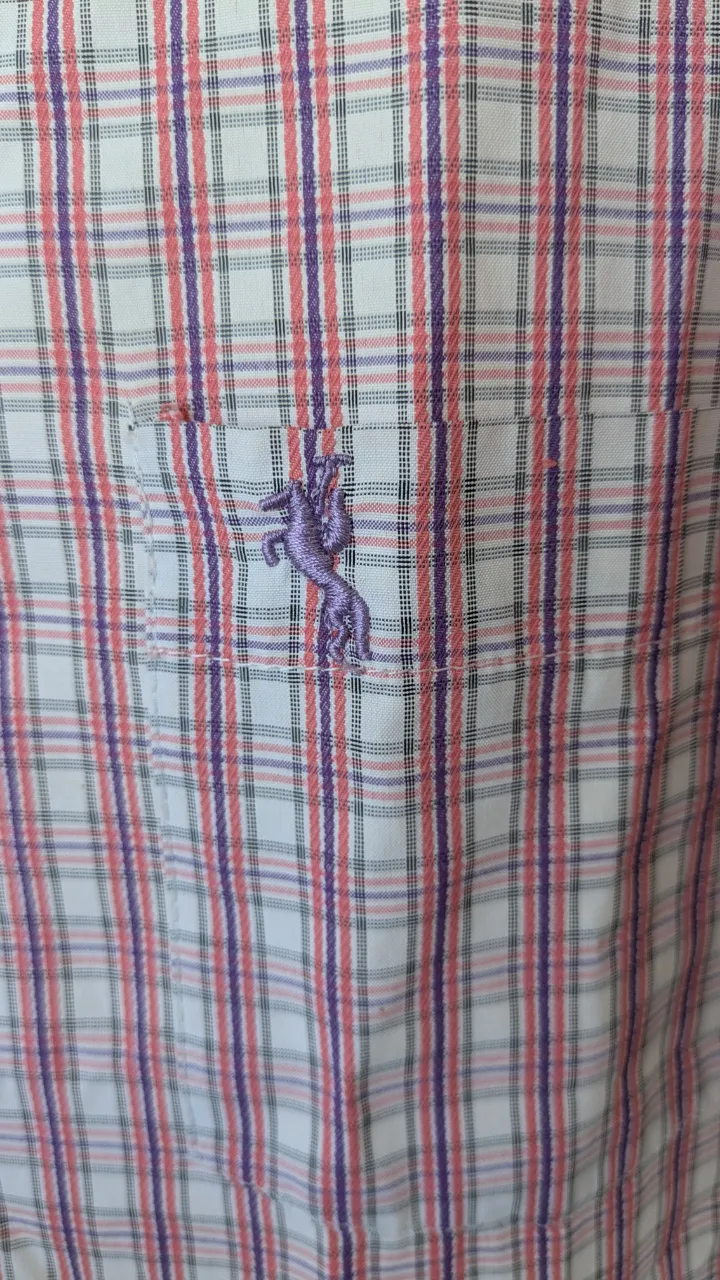 Camisa Polo sur - imagen 3