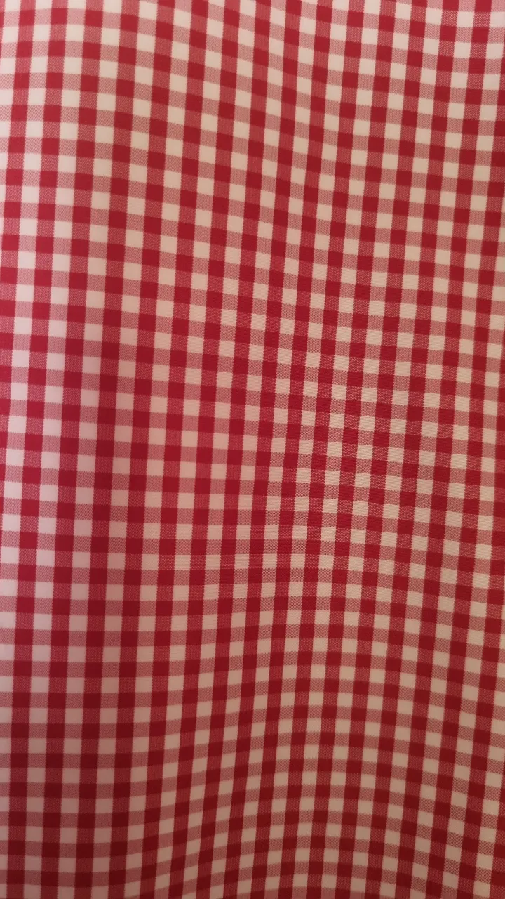 Campera Lacoste - Vista 4