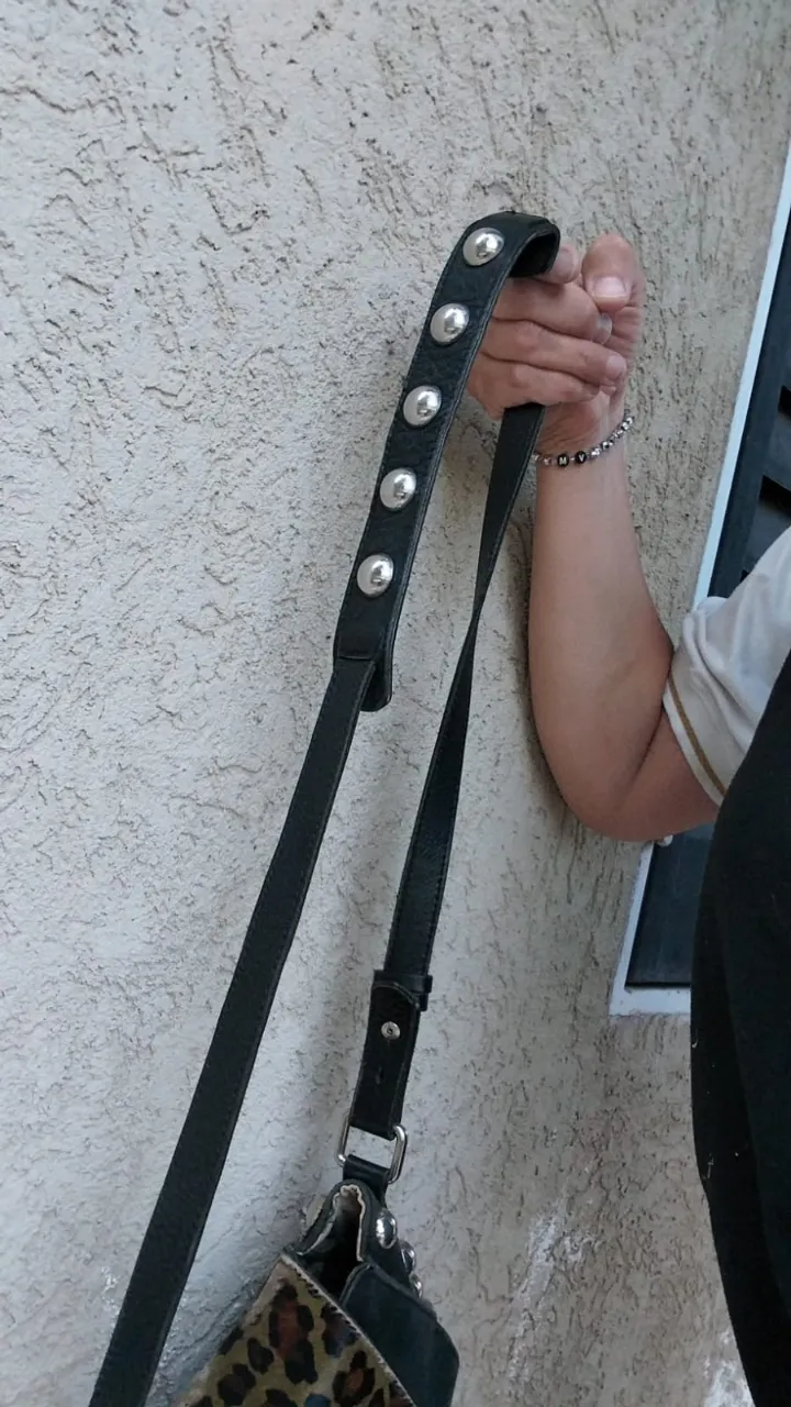 Cartera Jazmín Chebar - imagen 6
