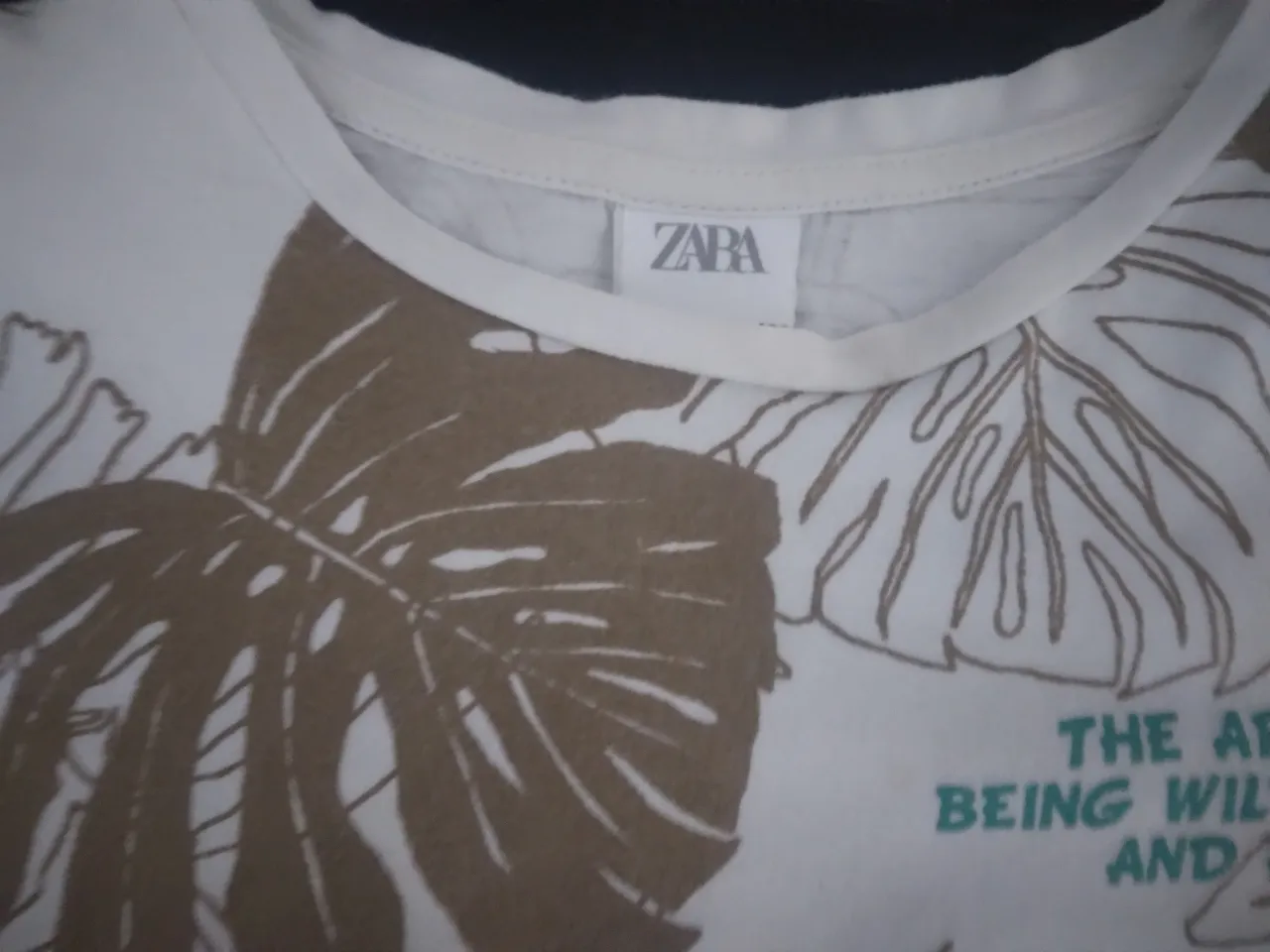 Remera Zara - imagen 3