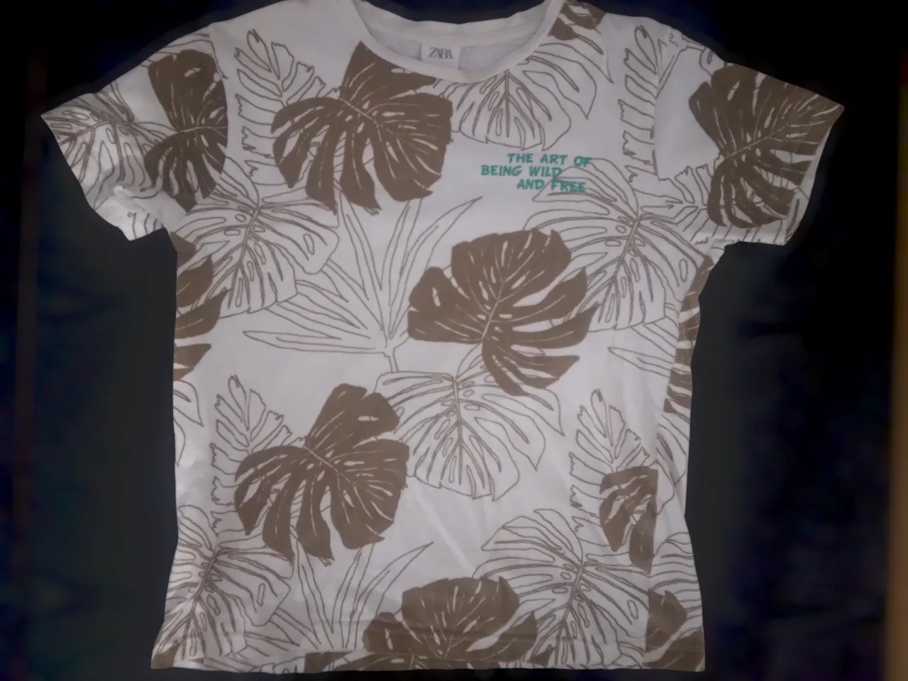 Remera Zara - imagen 1