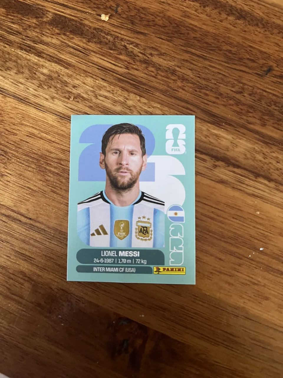 Camiseta Panini - imagen 1