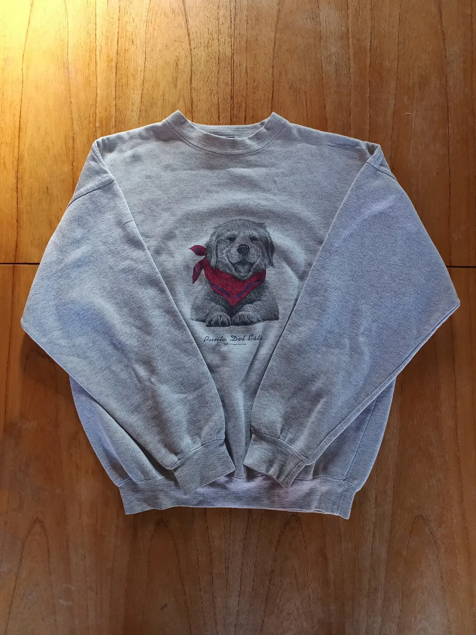 Buzo Crewneck SBPC Usa Gris ( Talle S /M )

Medidas 
Axila a Axila: 54cm
Hombros: 55cm
Largo: 62cm
Mangas: 51cm