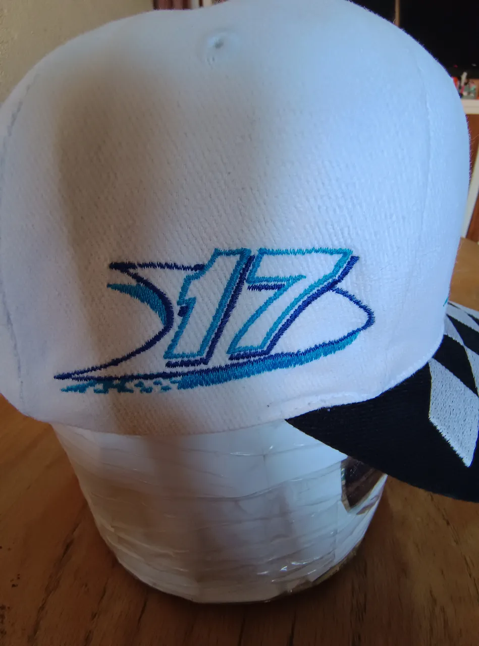 Gorra Nascar - Vista 9