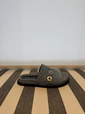 Sarkany