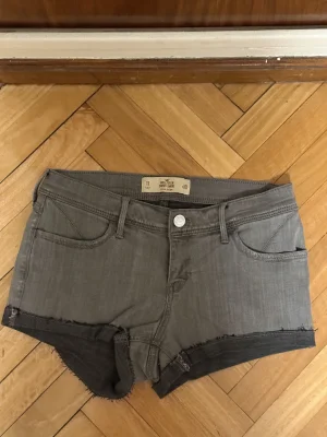 Hollister