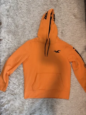 Hollister