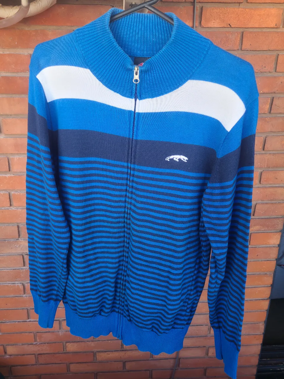 Capa Puma - imagen 1