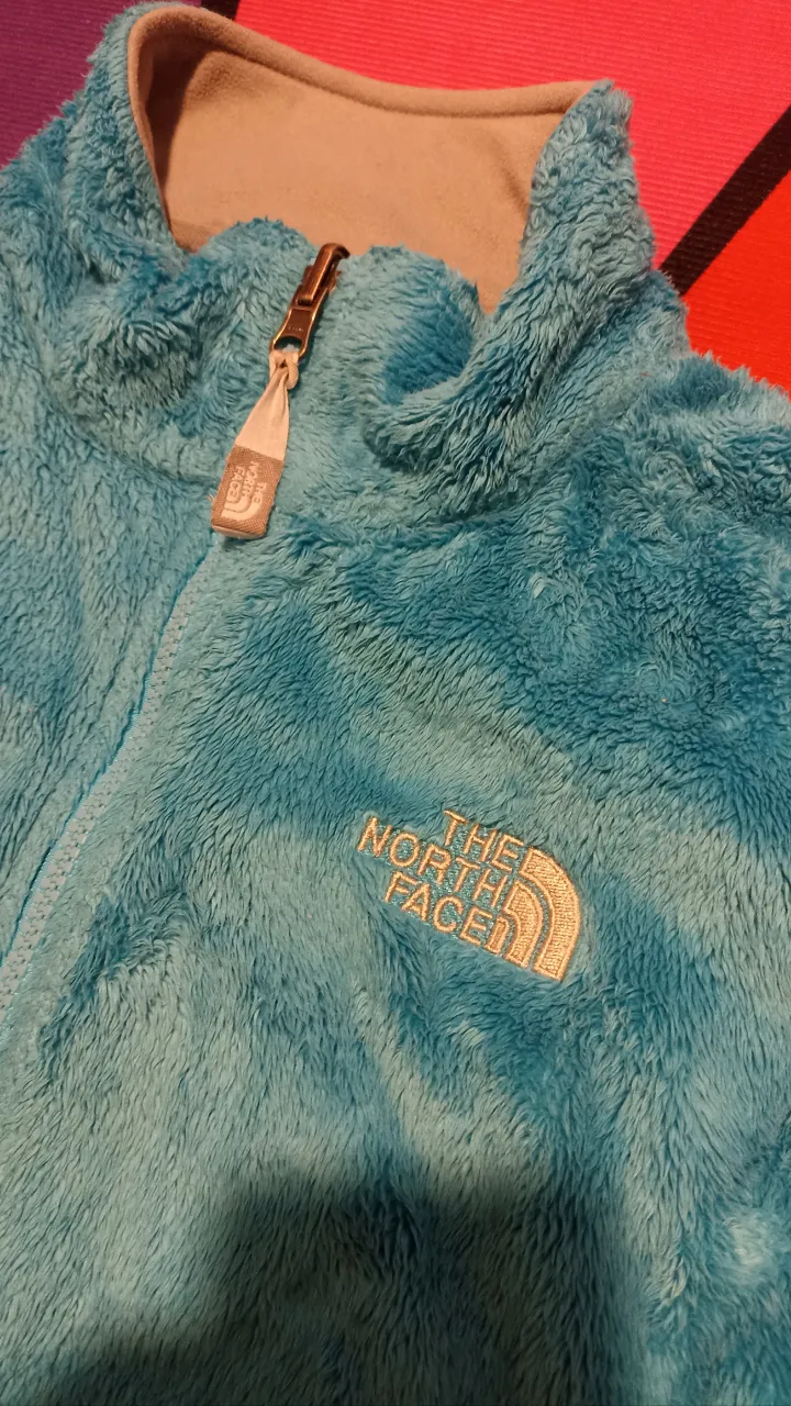 Buzo The North Face - imagen 2