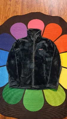 Patagonia