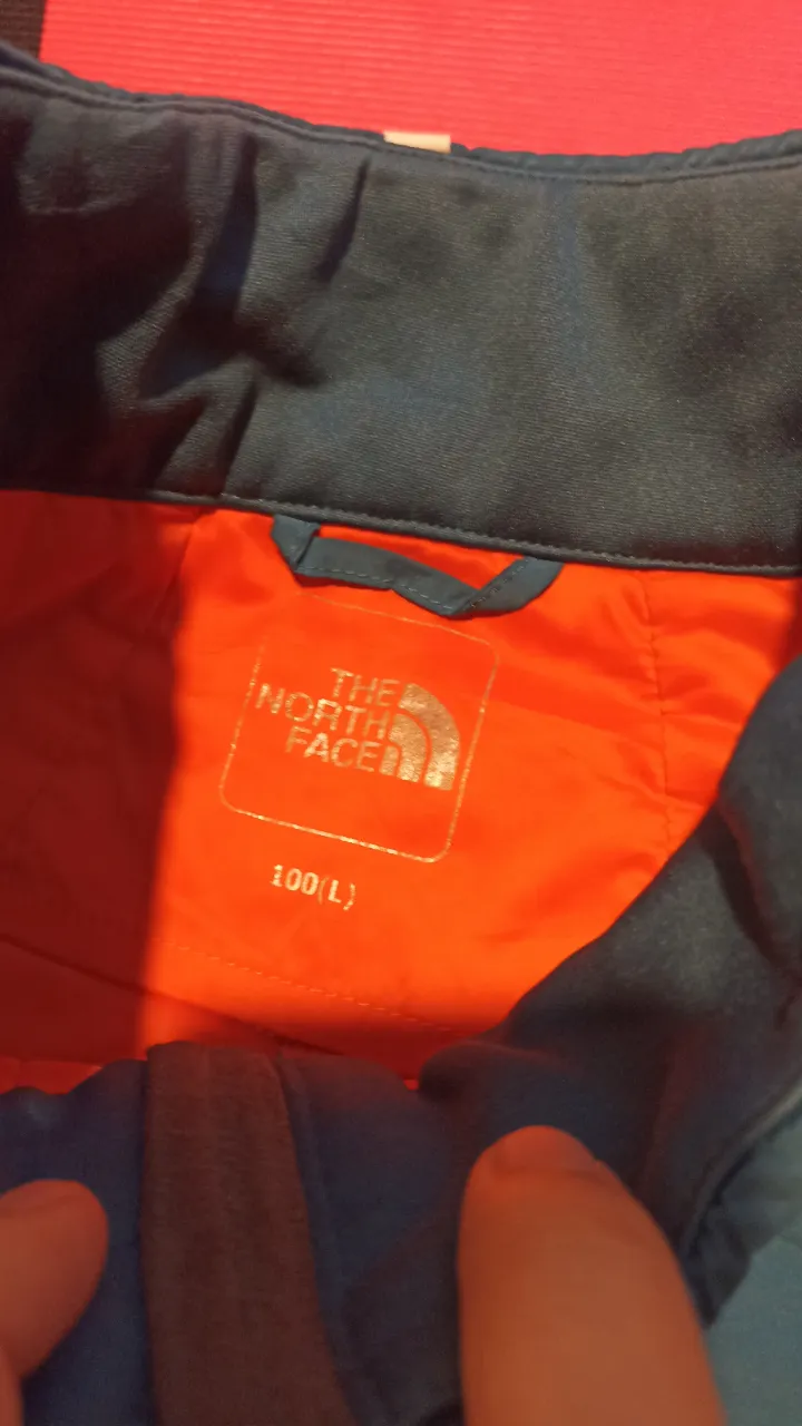 Campera The North Face - imagen 2