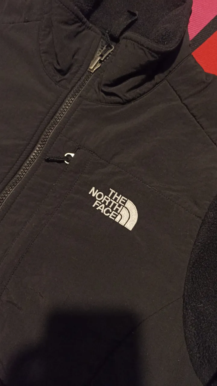Campera The North Face - Vista 2