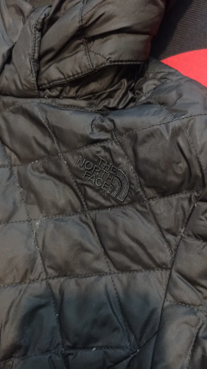 Campera The North Face - imagen 2