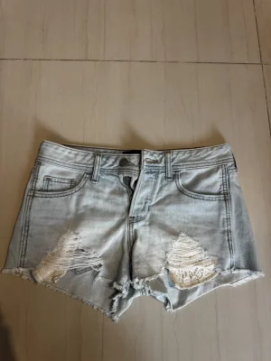 Hollister