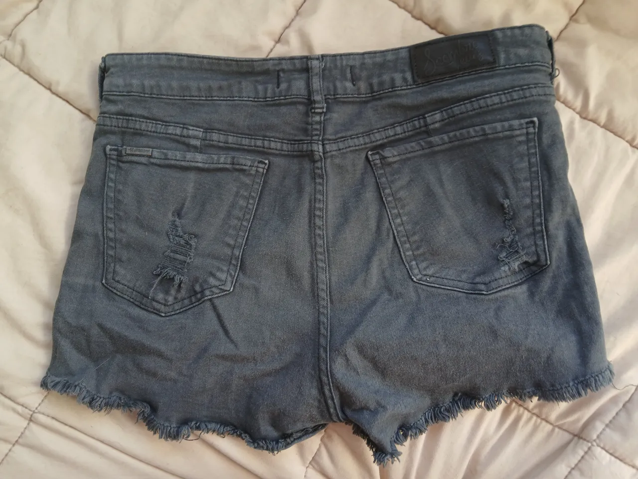Short Scombro - imagen 2