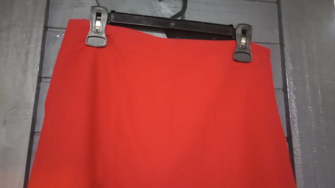 Pollera A+ - Vista 3