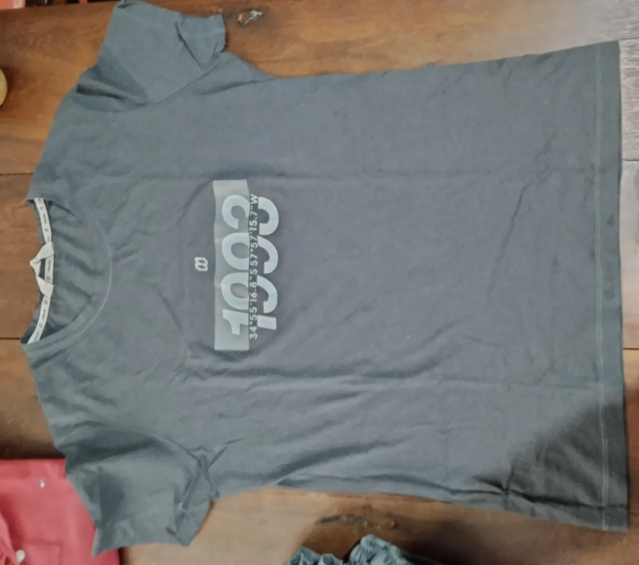Remera Miwok - imagen 2