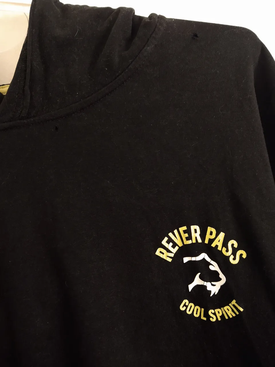 Buzo Rever Pass - imagen 2