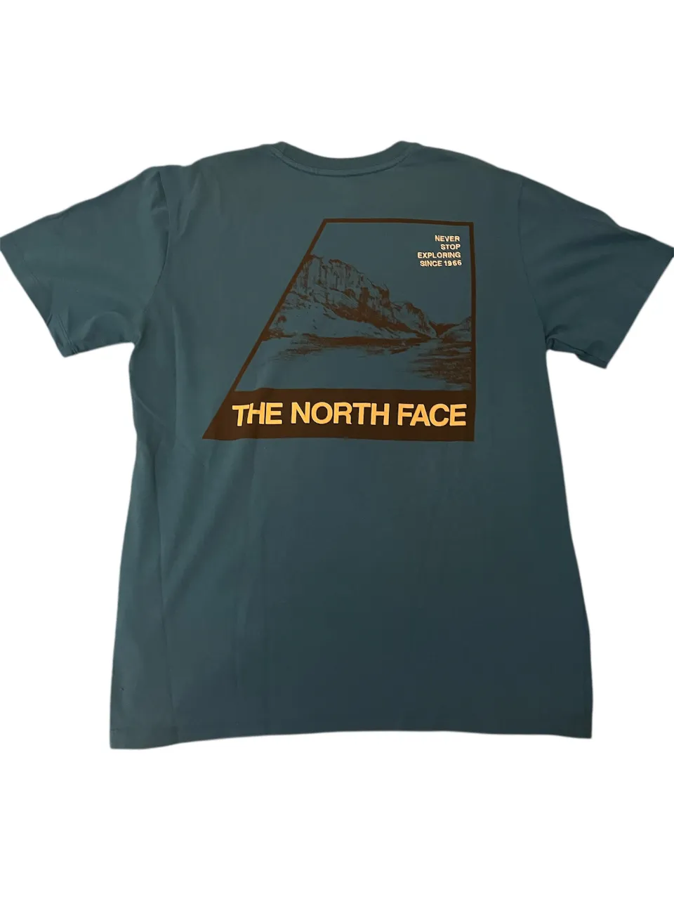 Remera The North Face - imagen 2