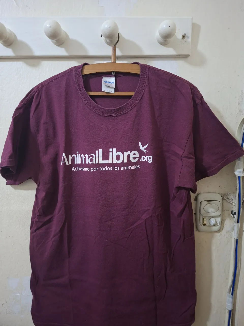 Remera Gildan - imagen 2