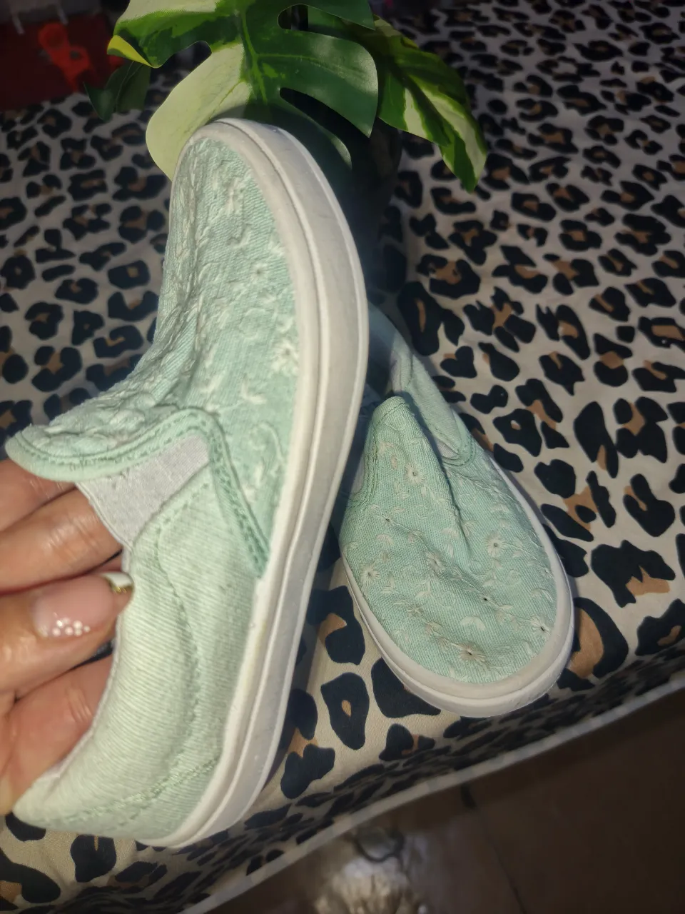 Zapatillas Mimo & Co