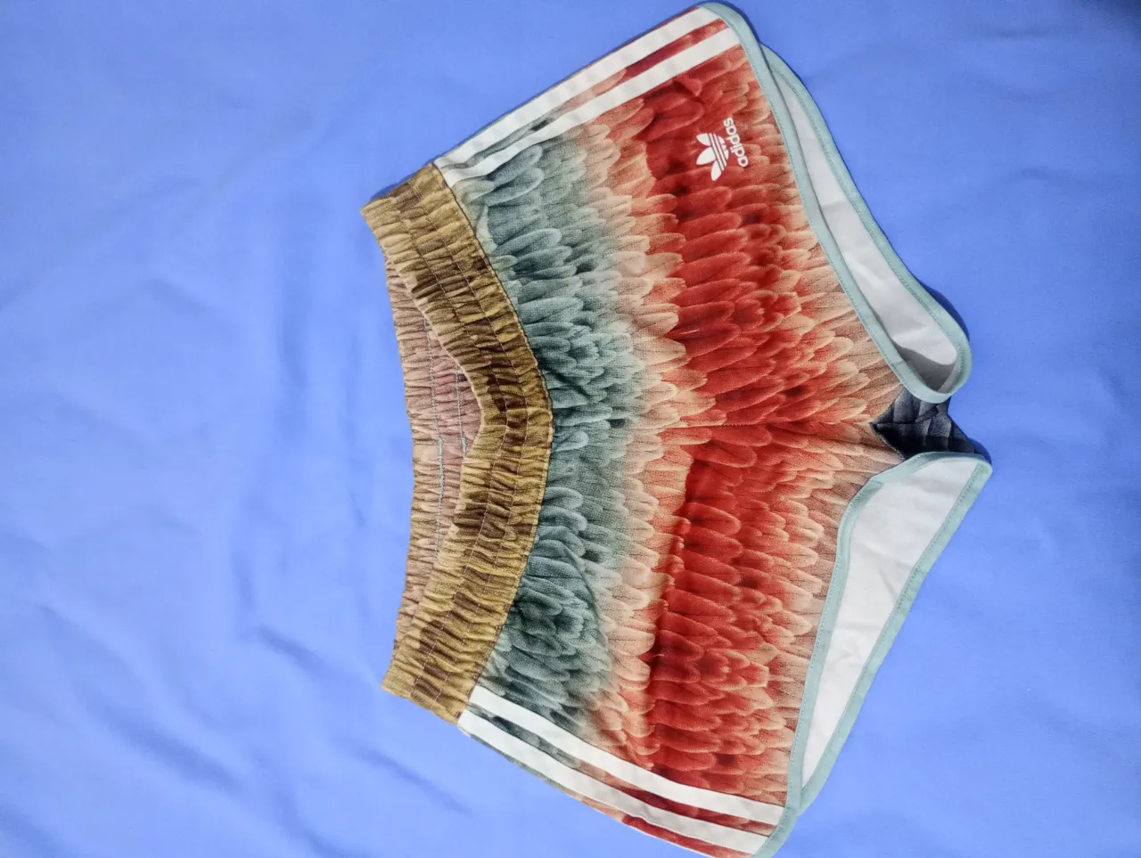 Bermuda adidas - imagen 1