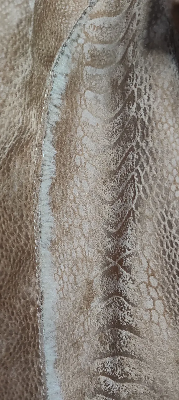 Campera Colección - imagen 5