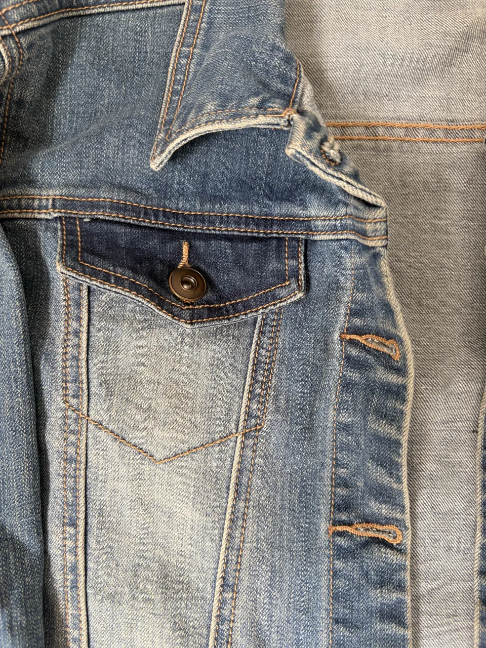 Campera Aa miniatura 4