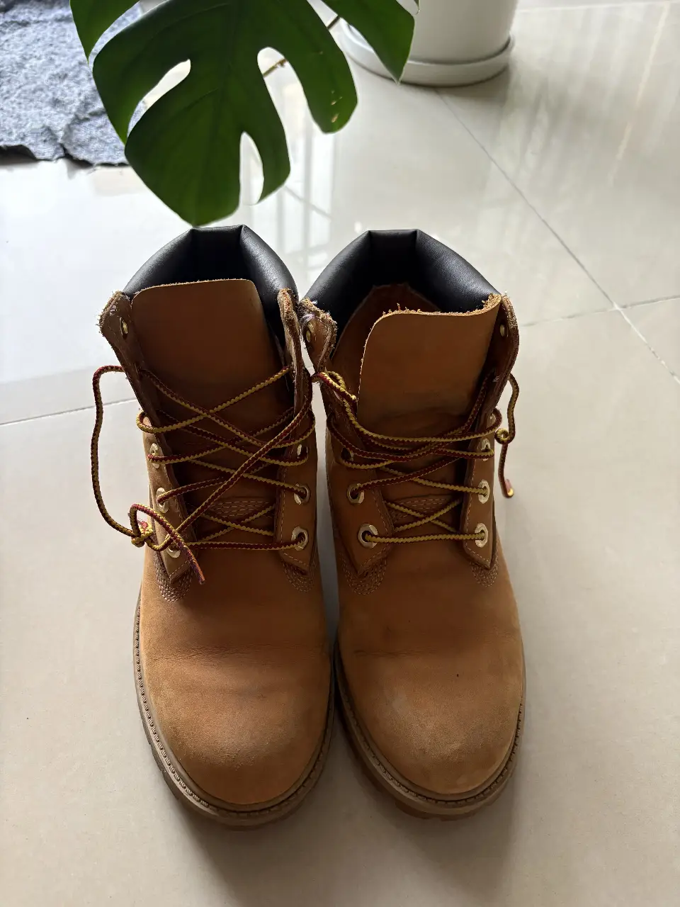 Borcegos Timberland - imagen 1