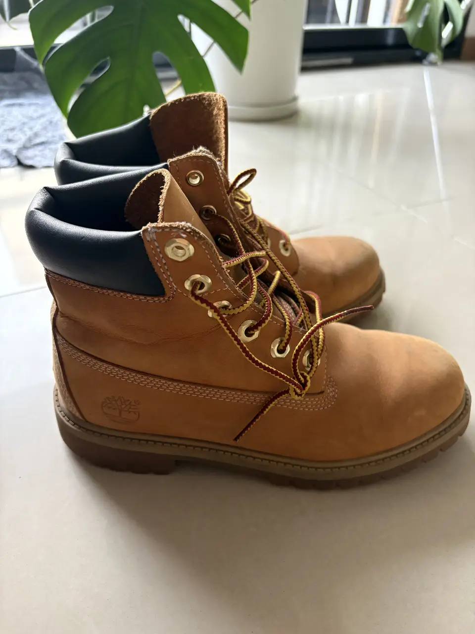Borcegos Timberland - imagen 2