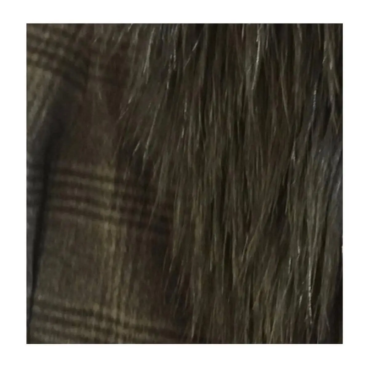 Blazer Delaostia - imagen 3