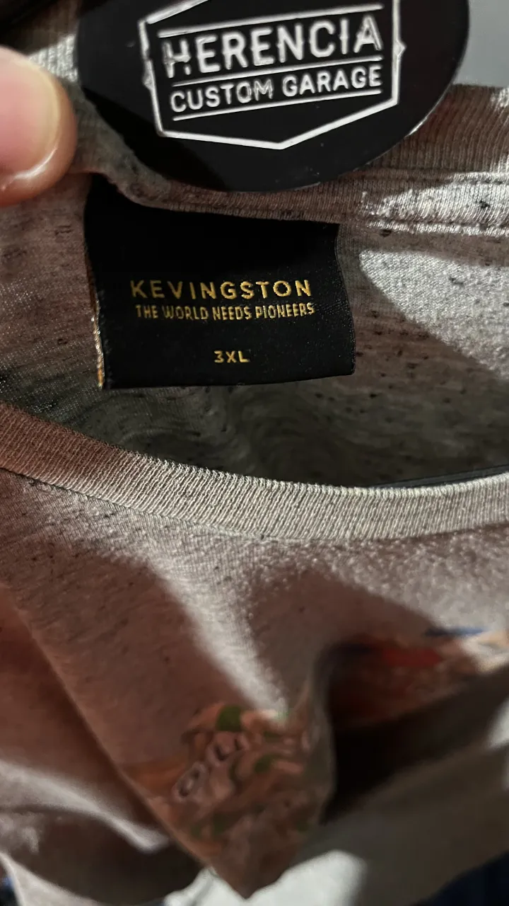 Remera Kevingston - imagen 2